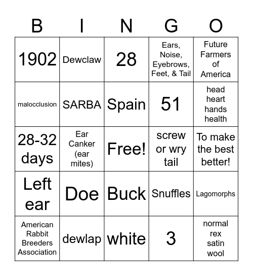 Rabbit Knowledge Bingo Card