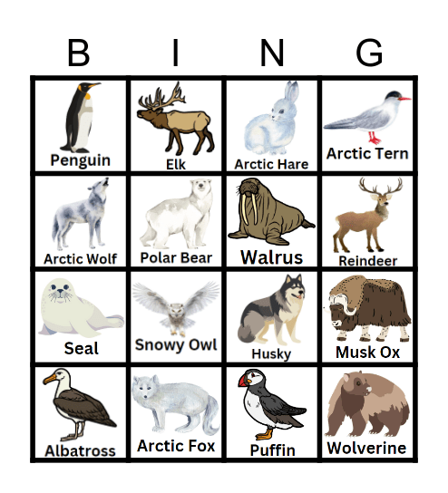 Polar Habitat Bingo Card