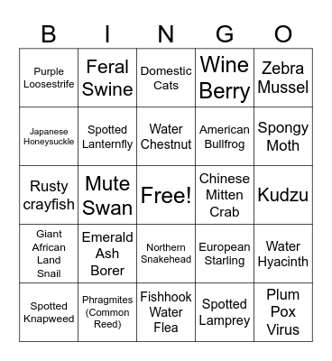 Invasive Species BINGO Card