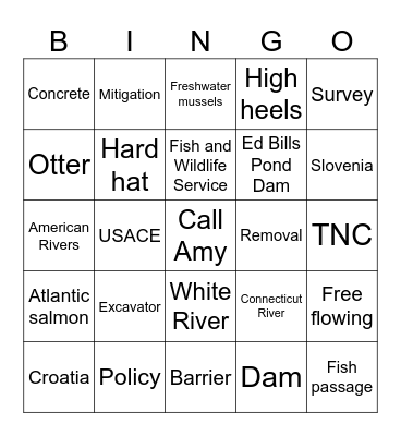 Celebrating Amy and Free Rivers! Bingo Card