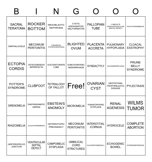 DMSG 415 Exam 2 Review Bingo Card