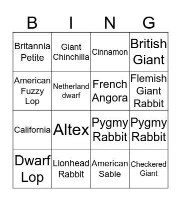 BUNNY BINGO Card