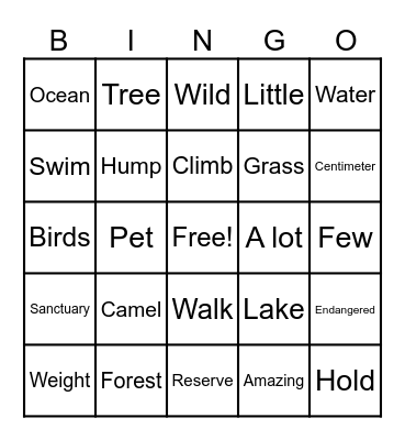ESL Bingo Card