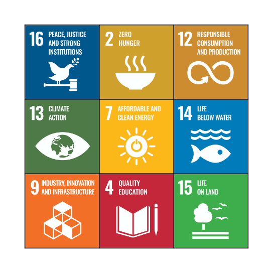 SDGs Bingo Card