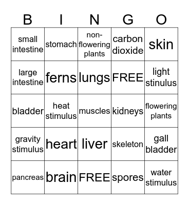 Human Body Organs Bingo Card