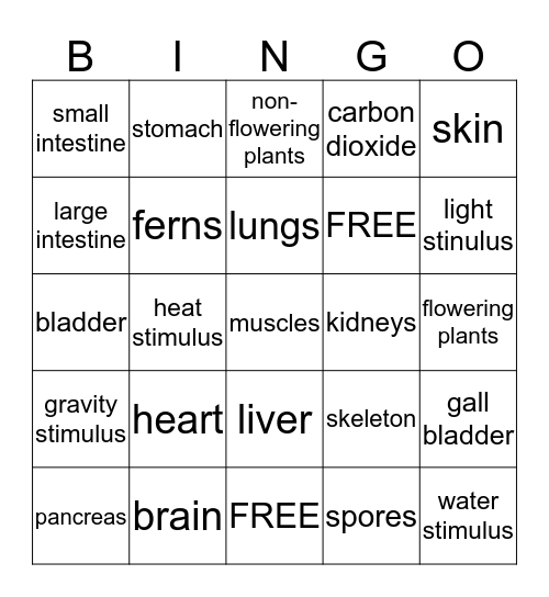 Human Body Organs Bingo Card