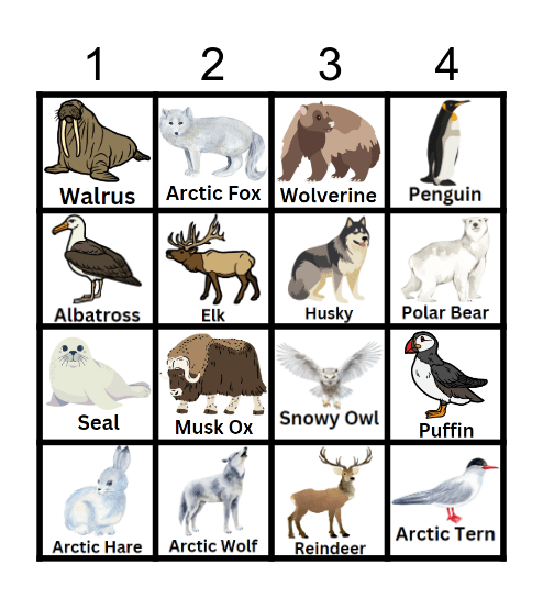 Polar Habitat Bingo Card