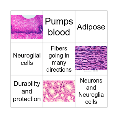 Tissue Bingo Card