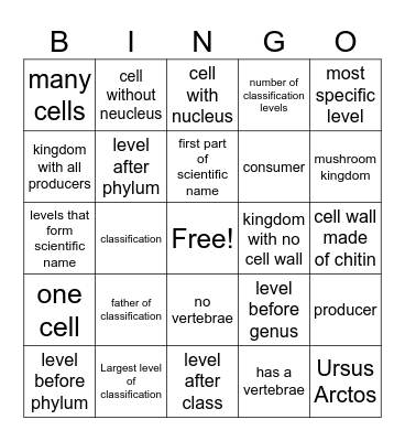Classification Bingo Card