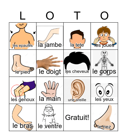 Les parties du corps Bingo Card