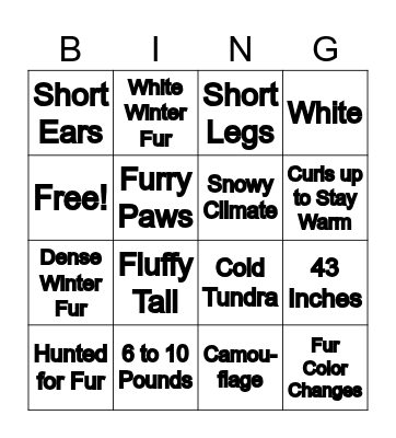 Arctic Fox Bingo Card