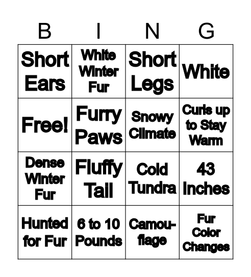Arctic Fox Bingo Card