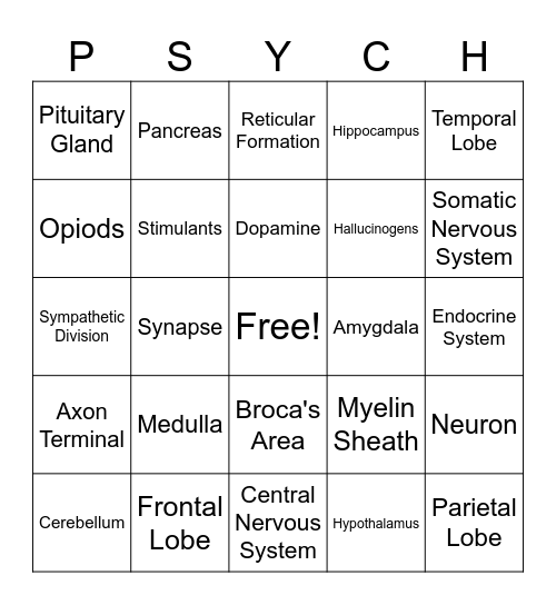 BioPsych Review Bingo Card