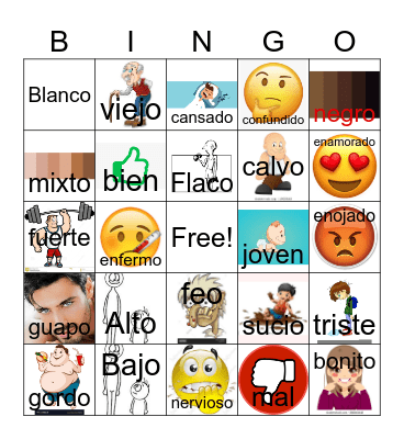 Physical Characteristics Bingo Card