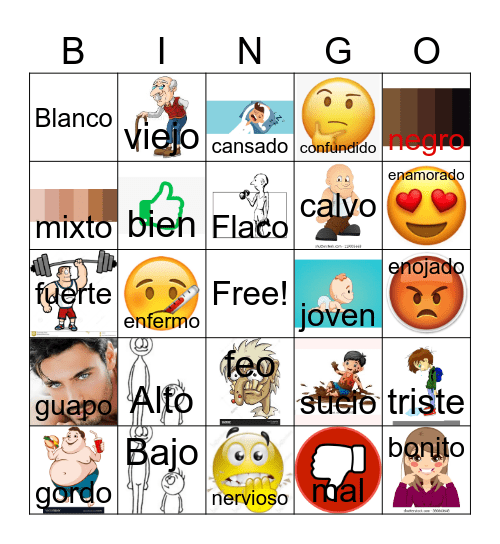 Physical Characteristics Bingo Card