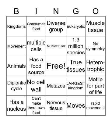 Animalia Bingo Card