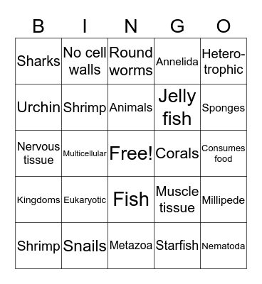 Animalia Bingo Card