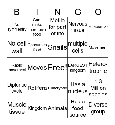 Animalia  Bingo Card