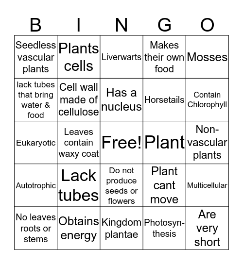 Plantae Bingo Card