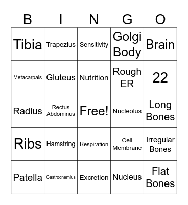 Health Bingo Card