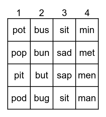 Look Alike Words Bingo Card