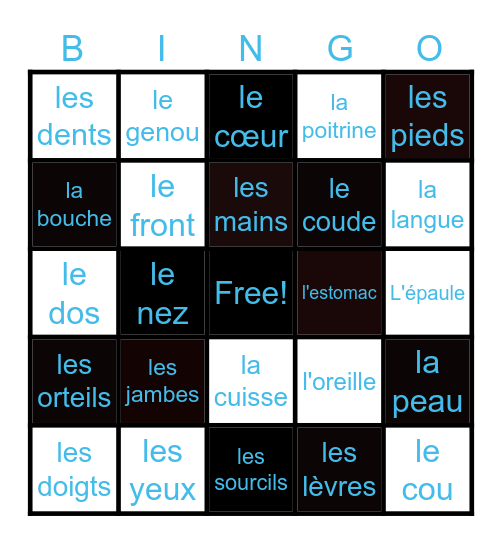 The human body but in French! Bingo Card