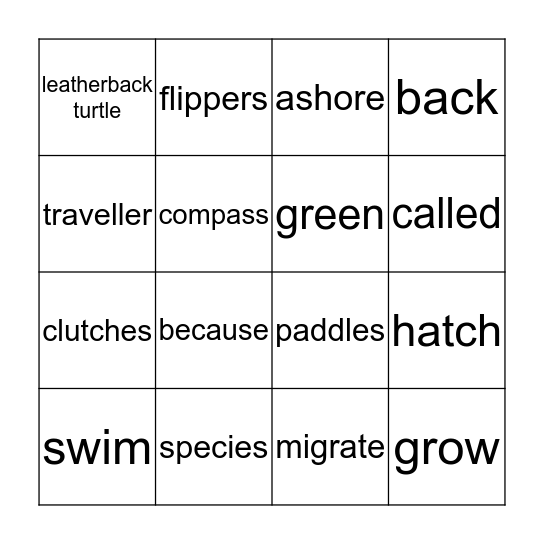 Sea Turtles Bingo Card