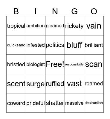 vocabulary bingo Card