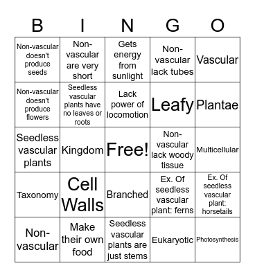 Plantae  Bingo Card