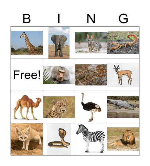 SAHARA BINGO Card