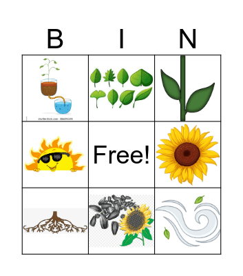 PARTS OF A PLANT Bingo Card