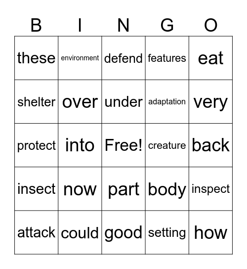 Vocabulary Unit 2 Week 1-2 Bingo Card