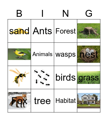 Gr1. U2W3 Animal Habitats Bingo Card