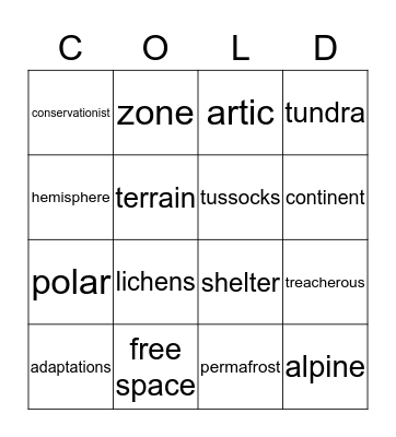 Antarctica Bingo Card