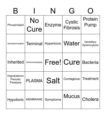 Presentation Bingo Card
