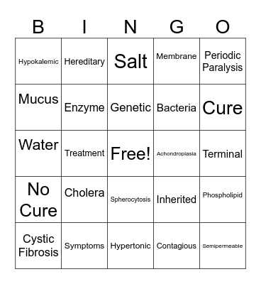 Presentation Bingo Card