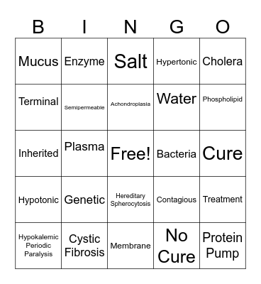 Presentation Bingo Card
