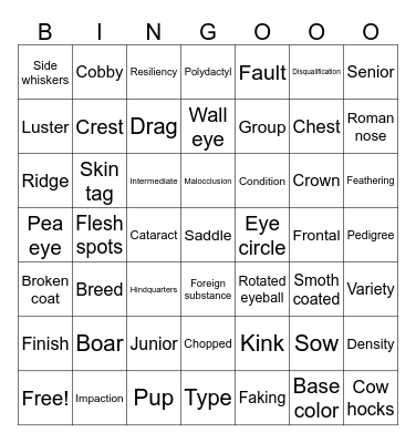 Cavy bingo Card