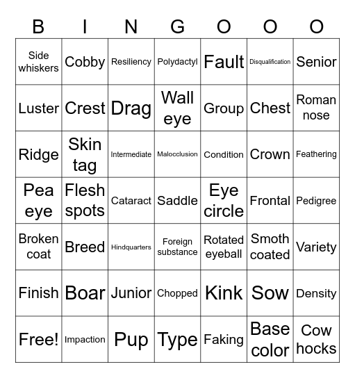 Cavy bingo Card
