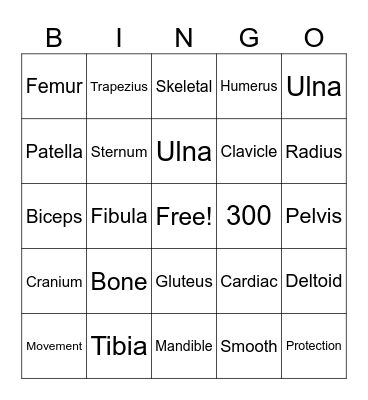 Muscular/Skeletal Bingo Card