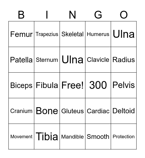 Muscular/Skeletal Bingo Card