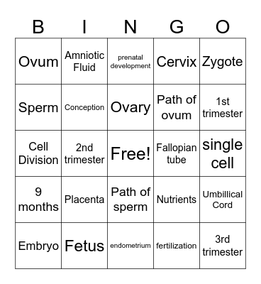 Child Development Bingo Card