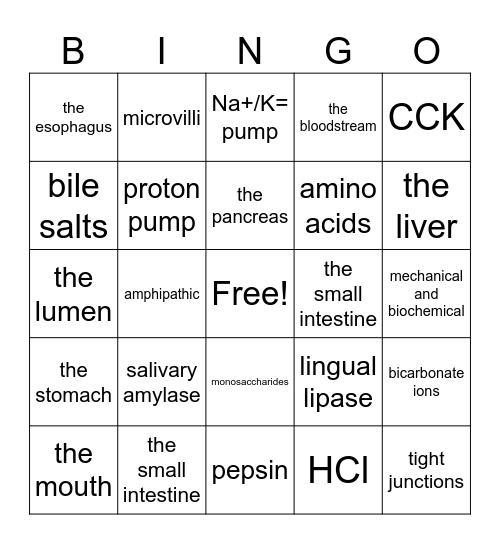 Digestion Bingo Card