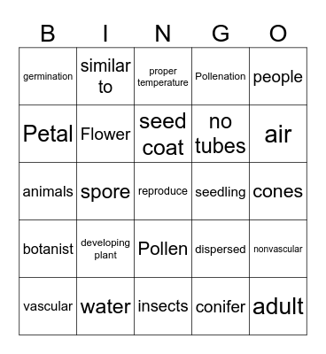 Plant Review Bingo Card