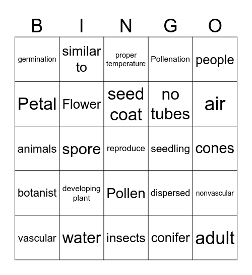Plant Review Bingo Card