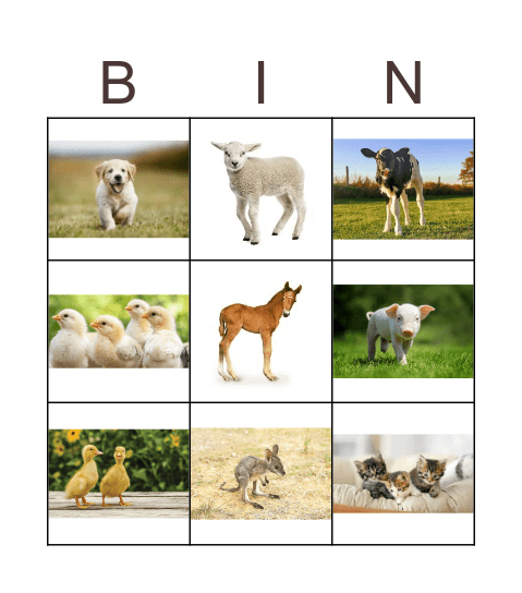 Animals & Babies Bingo Card