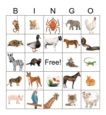 Animal Bingo Card