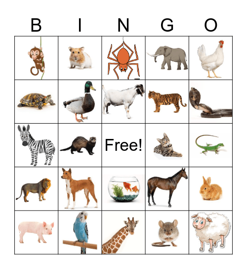 Animal Bingo Card