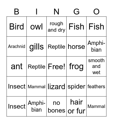 Animal Groups Bingo Card