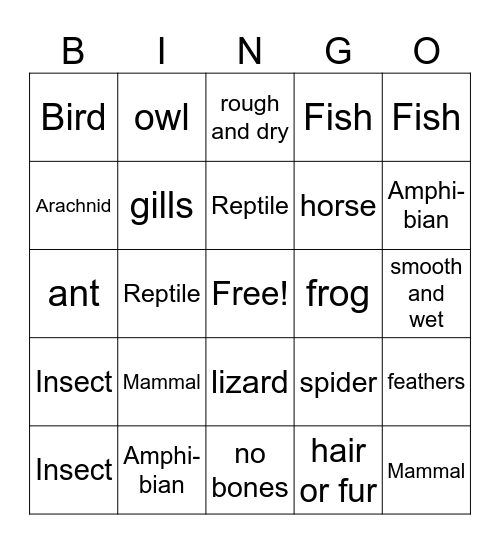 Animal Groups Bingo Card
